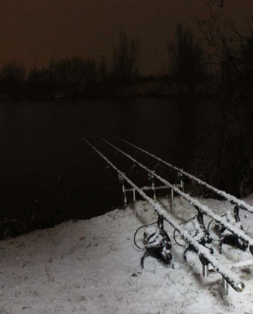 Professional Ready Made Carp Rigs Ready Tied Ready Rigs Thats Professional Ready Made Carp Rigs Ready Tied Ready Rigs Thats